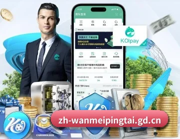 完美世界 APP 深度功能